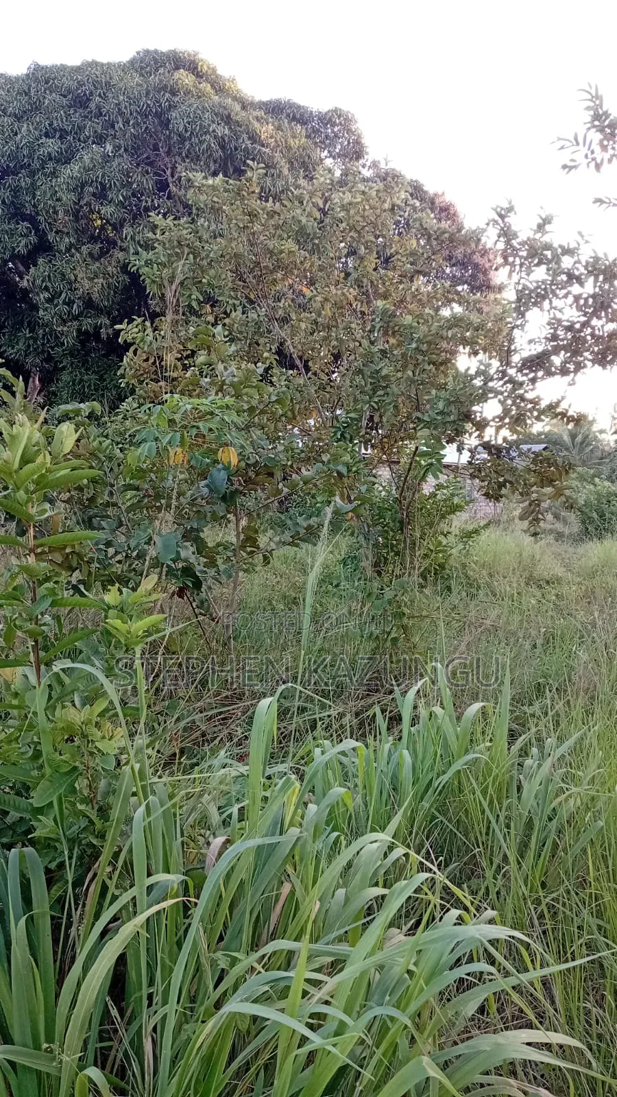 Nice 1/8 Acre Plot Only 1.3 Kilometre From the Lungalunga Highway Road