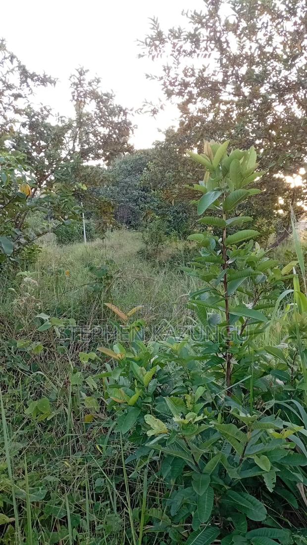 Nice 1/8 Acre Plot Only 1.3 Kilometre From the Lungalunga Highway Road - thumbnail 8