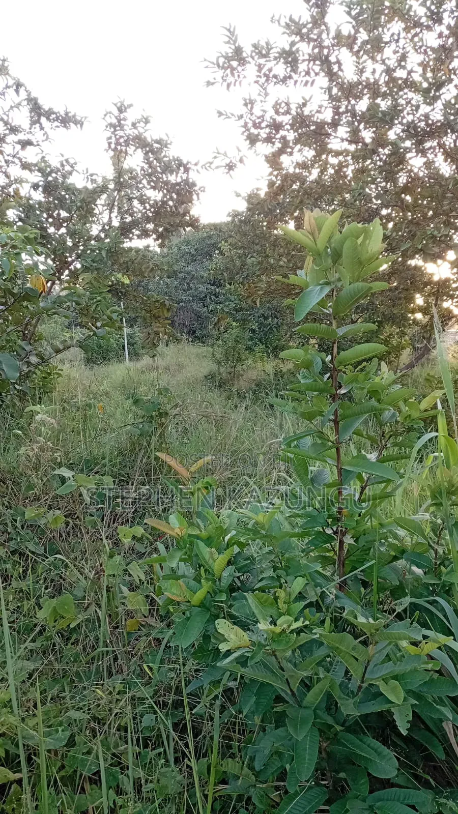 Nice 1/8 Acre Plot Only 1.3 Kilometre From the Lungalunga Highway Road
