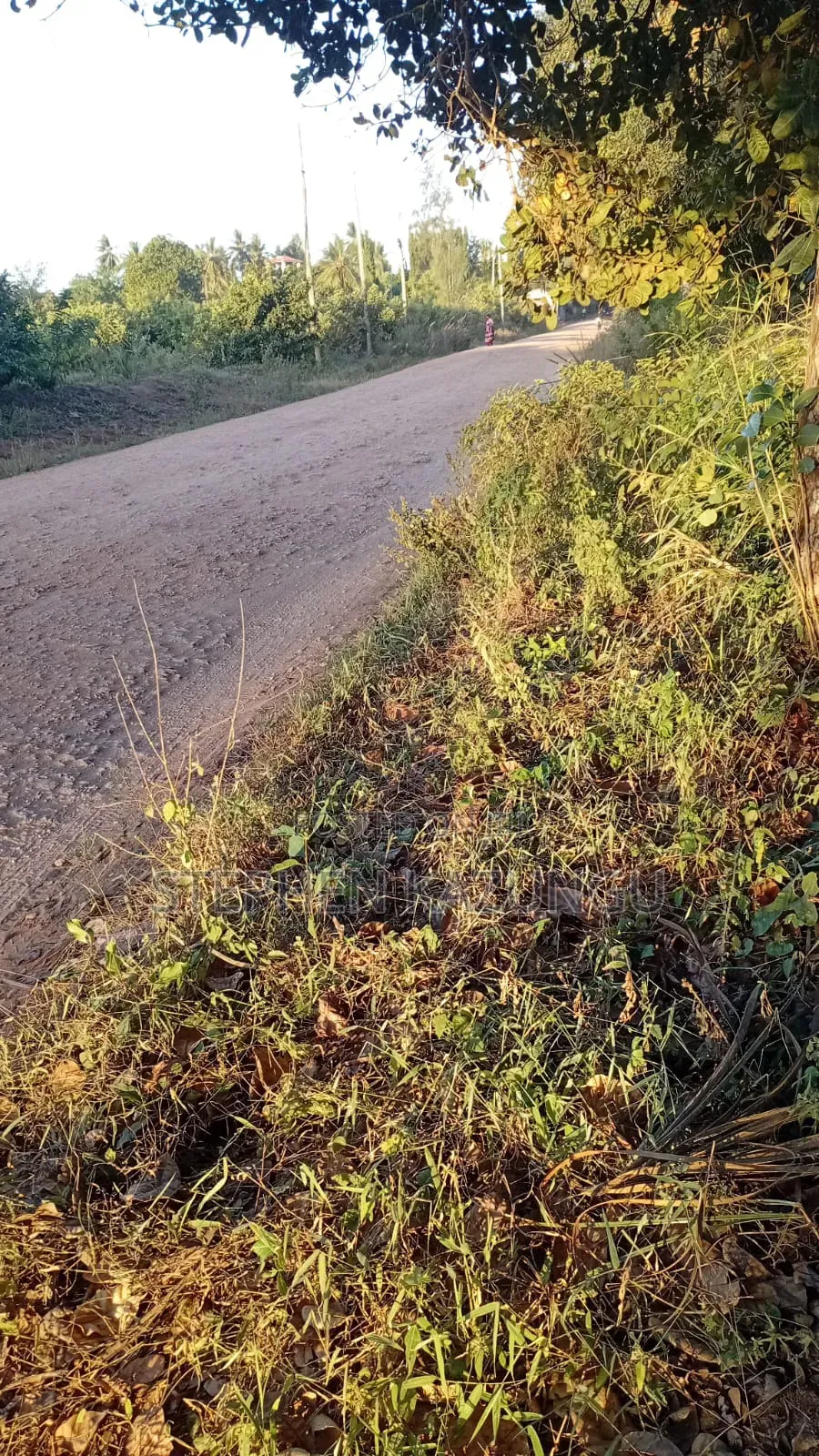 Nice 1/8 Acre Plot Only 1.3 Kilometre From the Lungalunga Highway Road