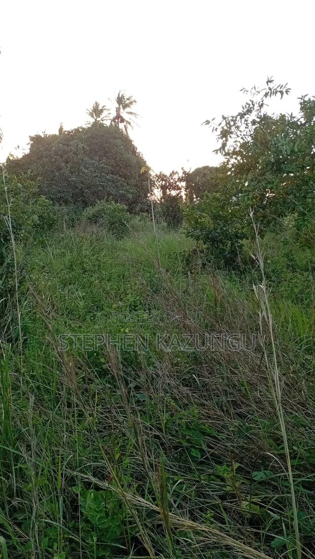 Nice 1/8 Acre Plot Only 1.3 Kilometre From the Lungalunga Highway Road - thumbnail 10