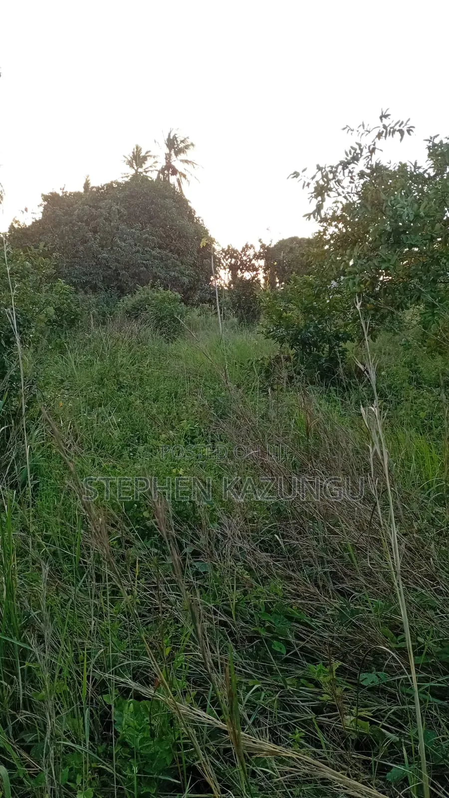 Nice 1/8 Acre Plot Only 1.3 Kilometre From the Lungalunga Highway Road