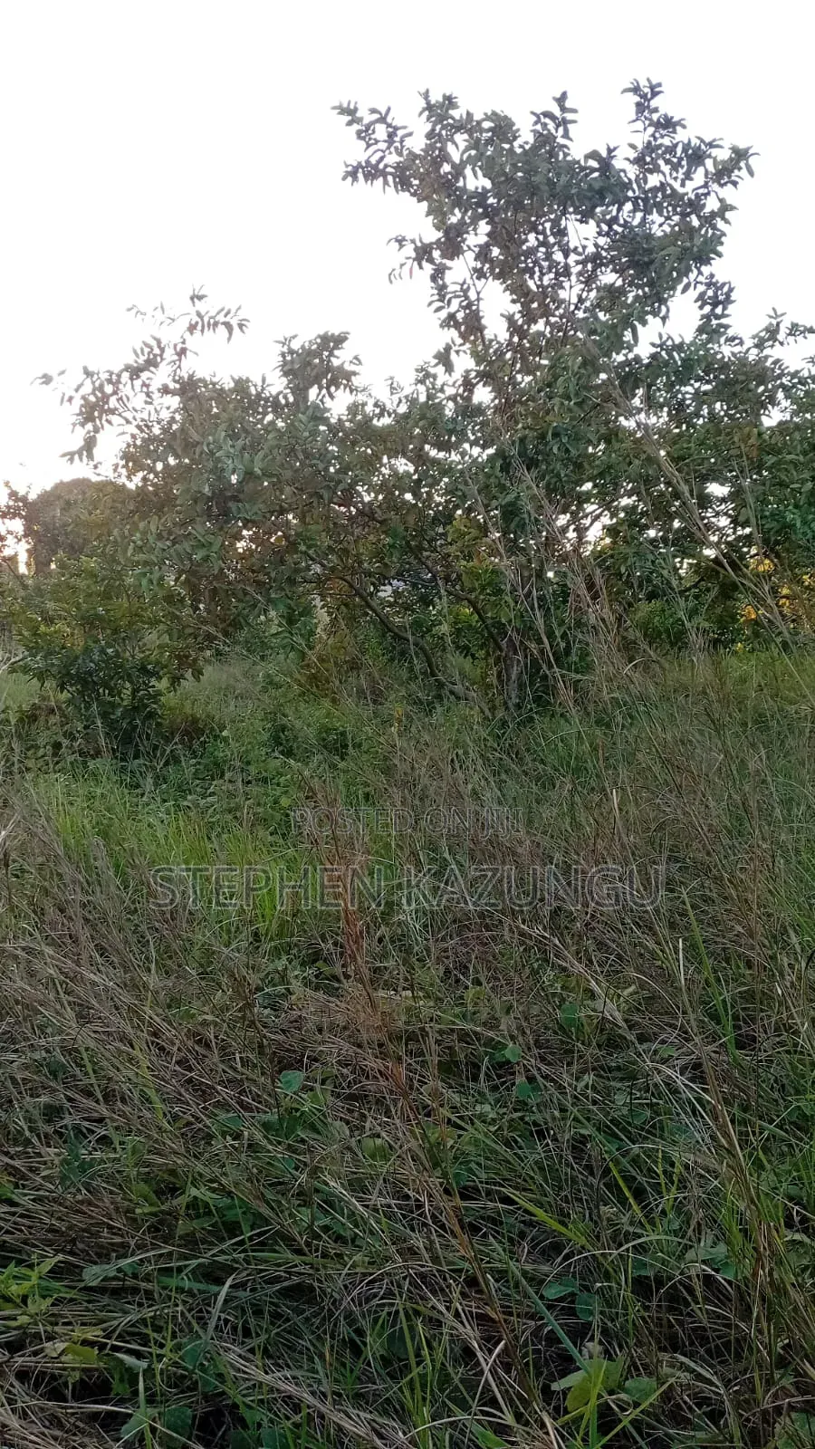 Nice 1/8 Acre Plot Only 1.3 Kilometre From the Lungalunga Highway Road