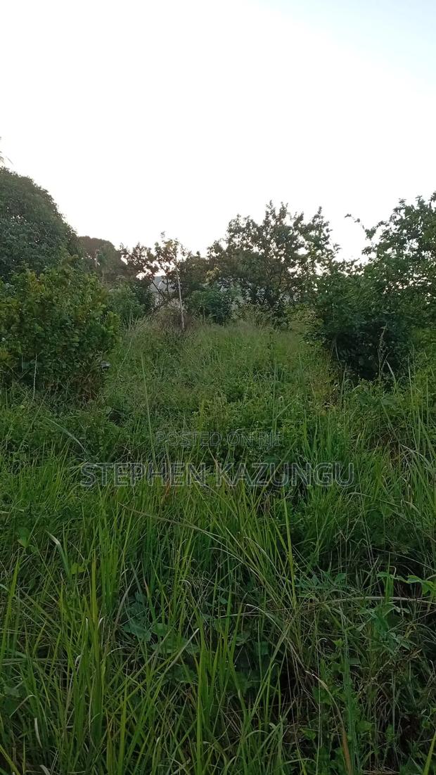 Nice 1/8 Acre Plot Only 1.3 Kilometre From the Lungalunga Highway Road - thumbnail 12