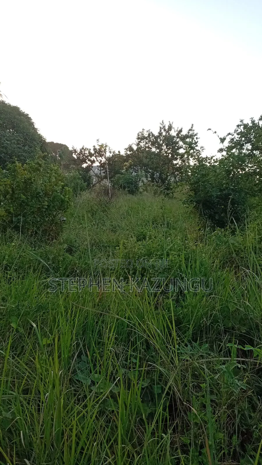Nice 1/8 Acre Plot Only 1.3 Kilometre From the Lungalunga Highway Road