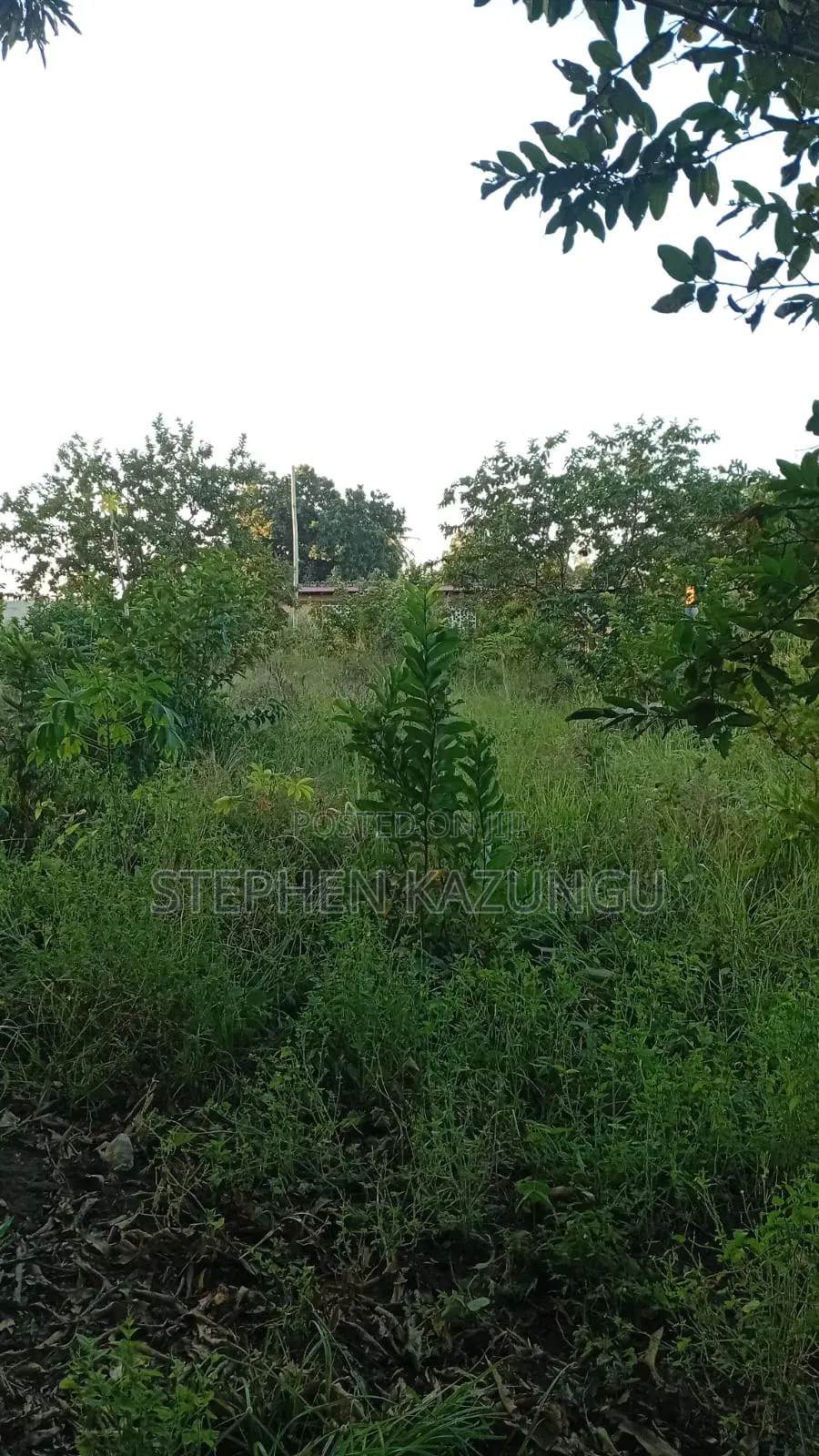 Nice 1/8 Acre Plot Only 1.3 Kilometre From the Lungalunga Highway Road