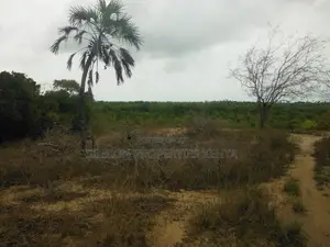 2-Acre Plot Near Ramisi Sugar Factory in Kwale County