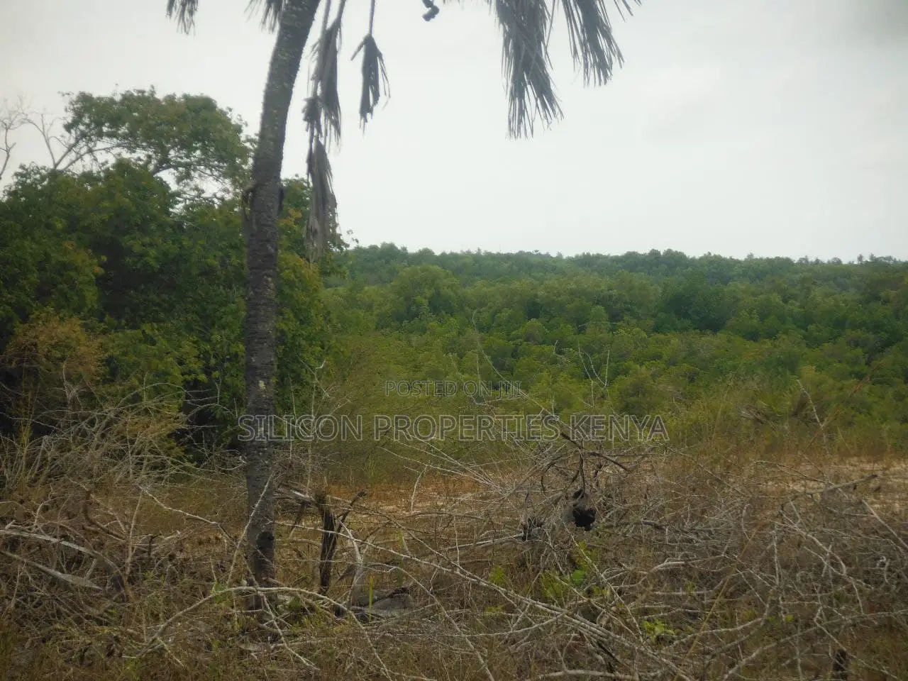 2-Acre Plot Near Ramisi Sugar Factory in Kwale County