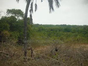 2-Acre Plot Near Ramisi Sugar Factory in Kwale County