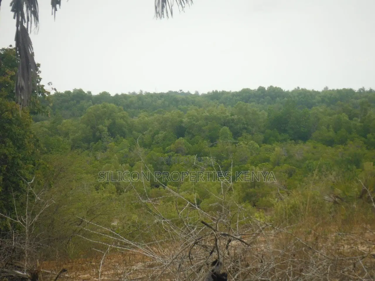 2-Acre Plot Near Ramisi Sugar Factory in Kwale County