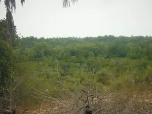 2-Acre Plot Near Ramisi Sugar Factory in Kwale County