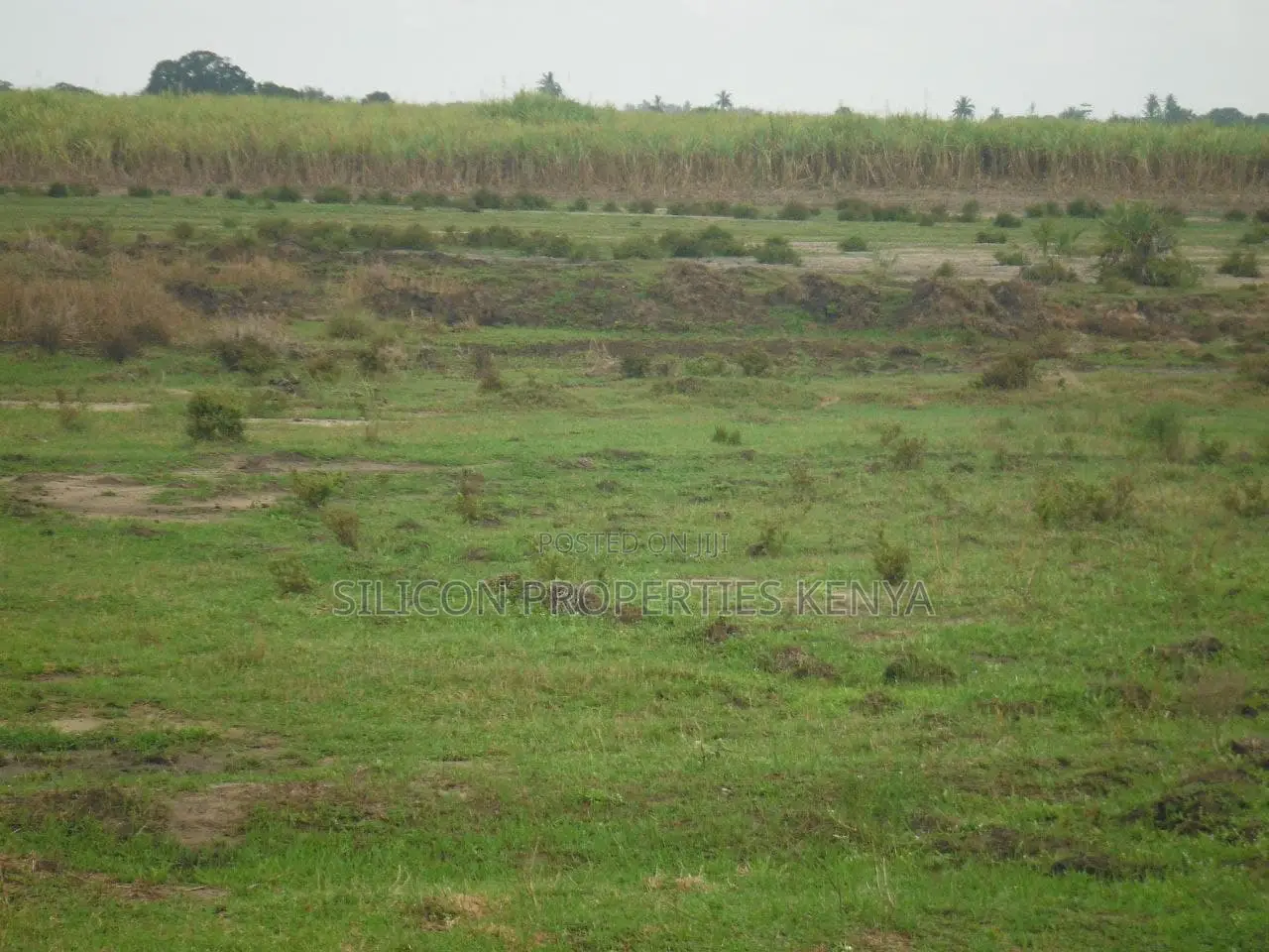 2-Acre Plot Near Ramisi Sugar Factory in Kwale County