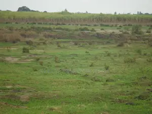 2-Acre Plot Near Ramisi Sugar Factory in Kwale County