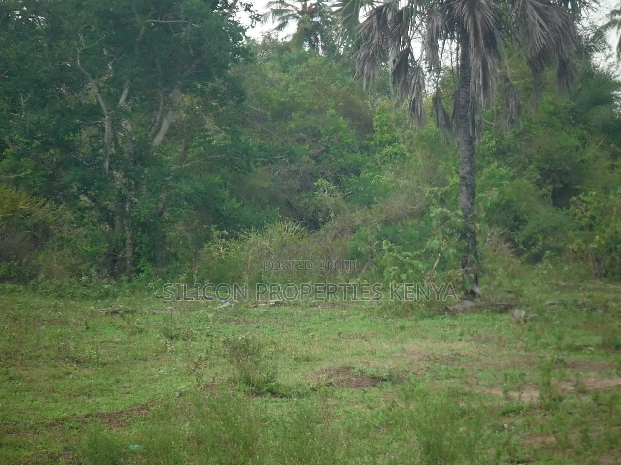 2-Acre Plot Near Ramisi Sugar Factory in Kwale County