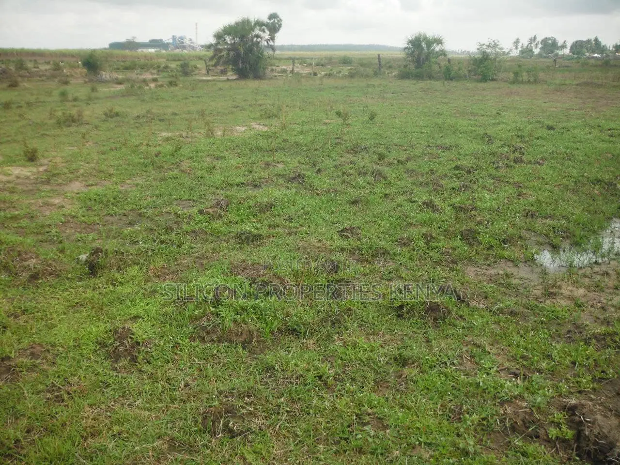 2-Acre Plot Near Ramisi Sugar Factory in Kwale County