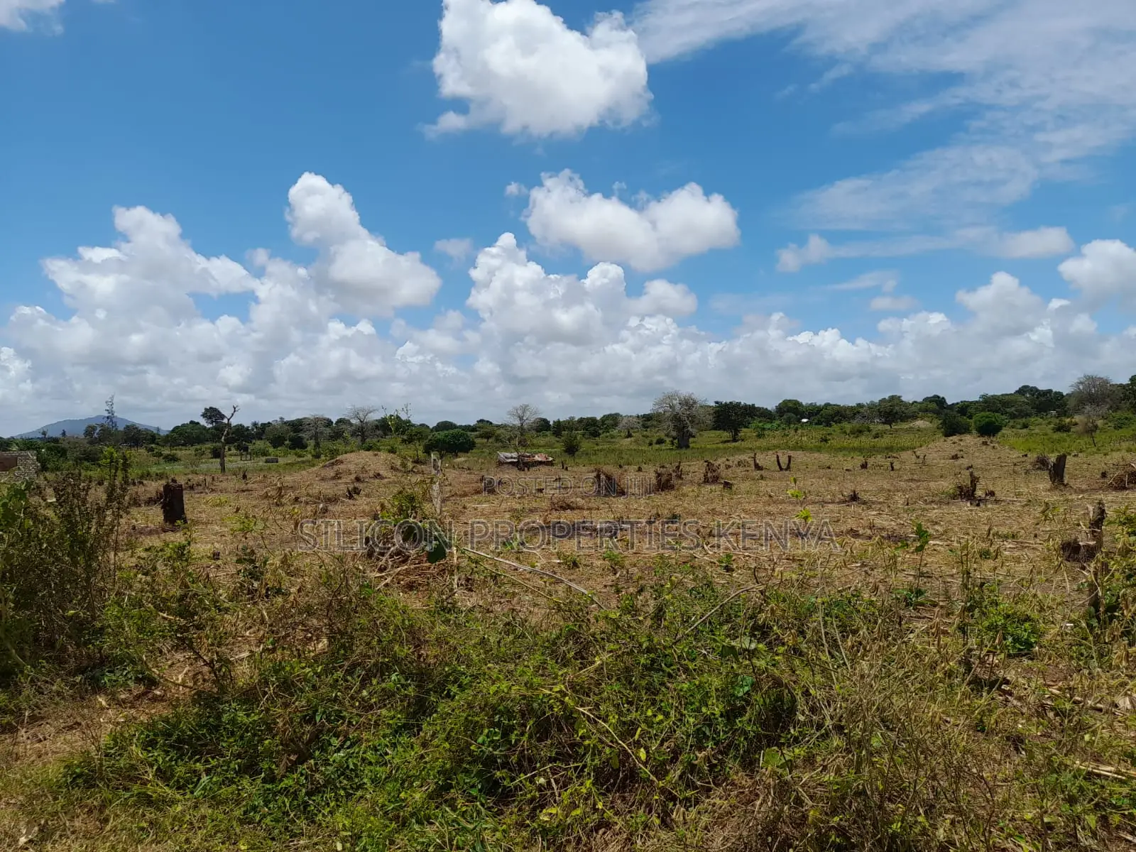 18-Acre Plot in Kidomaya, Kwale County