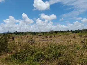 18-Acre Plot in Kidomaya, Kwale County