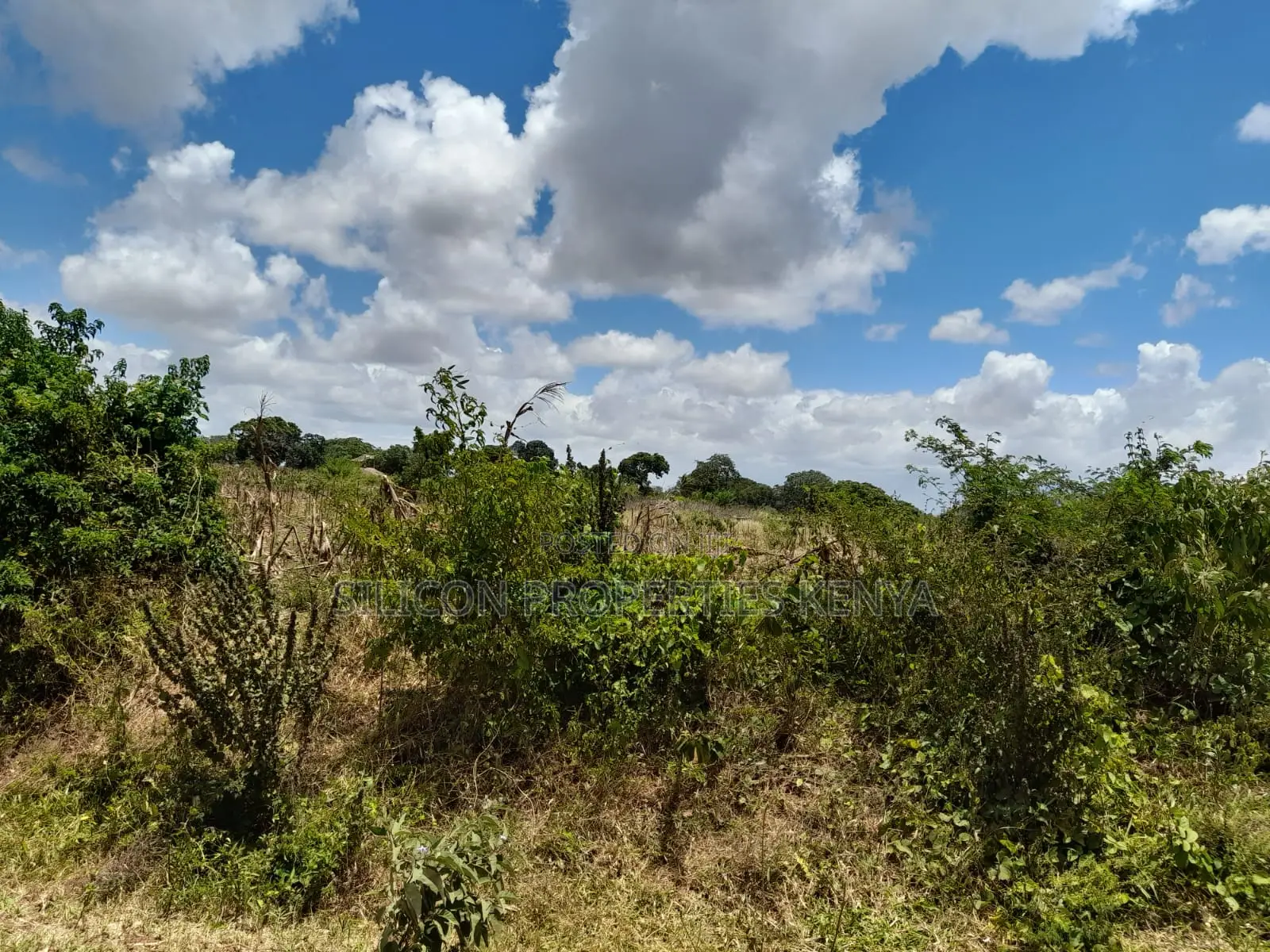 18-Acre Plot in Kidomaya, Kwale County