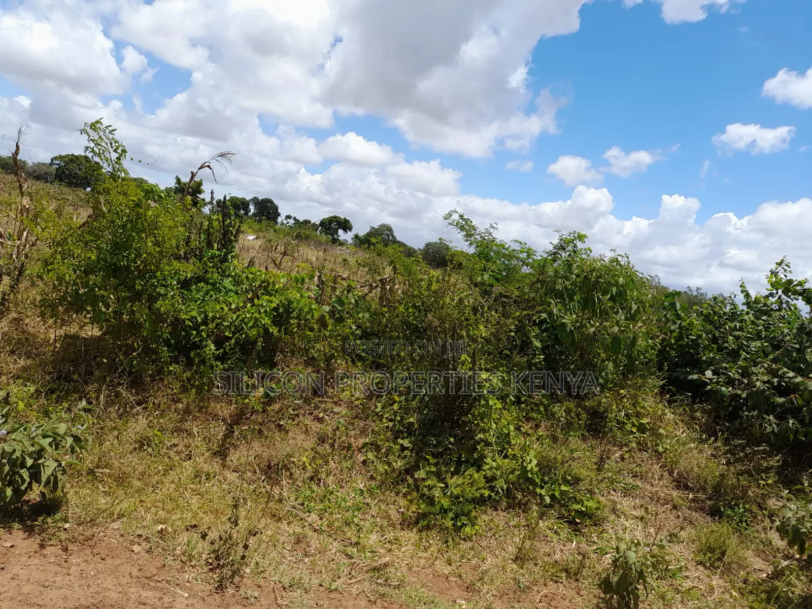 18-Acre Plot in Kidomaya, Kwale County