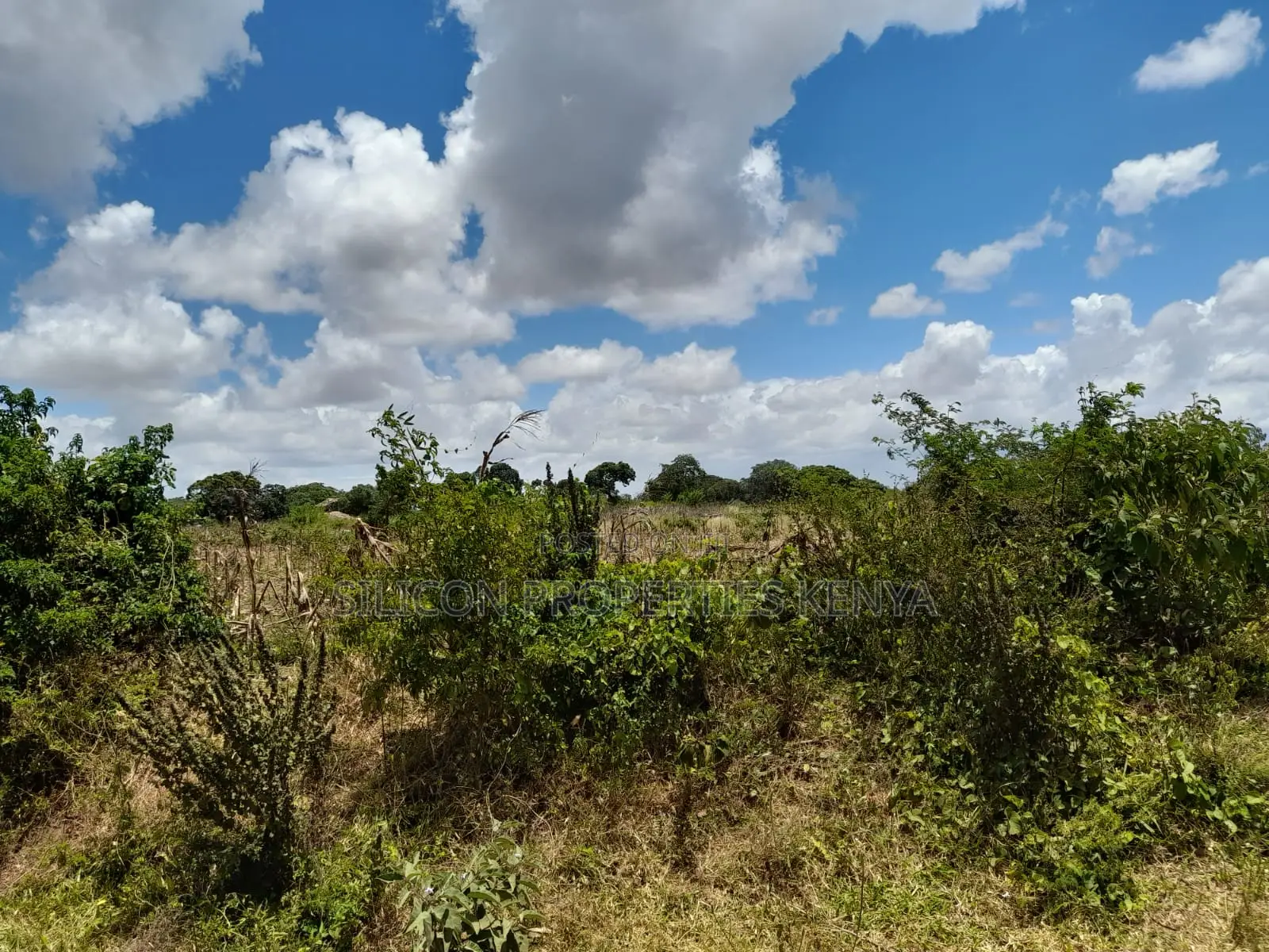 18-Acre Plot in Kidomaya, Kwale County