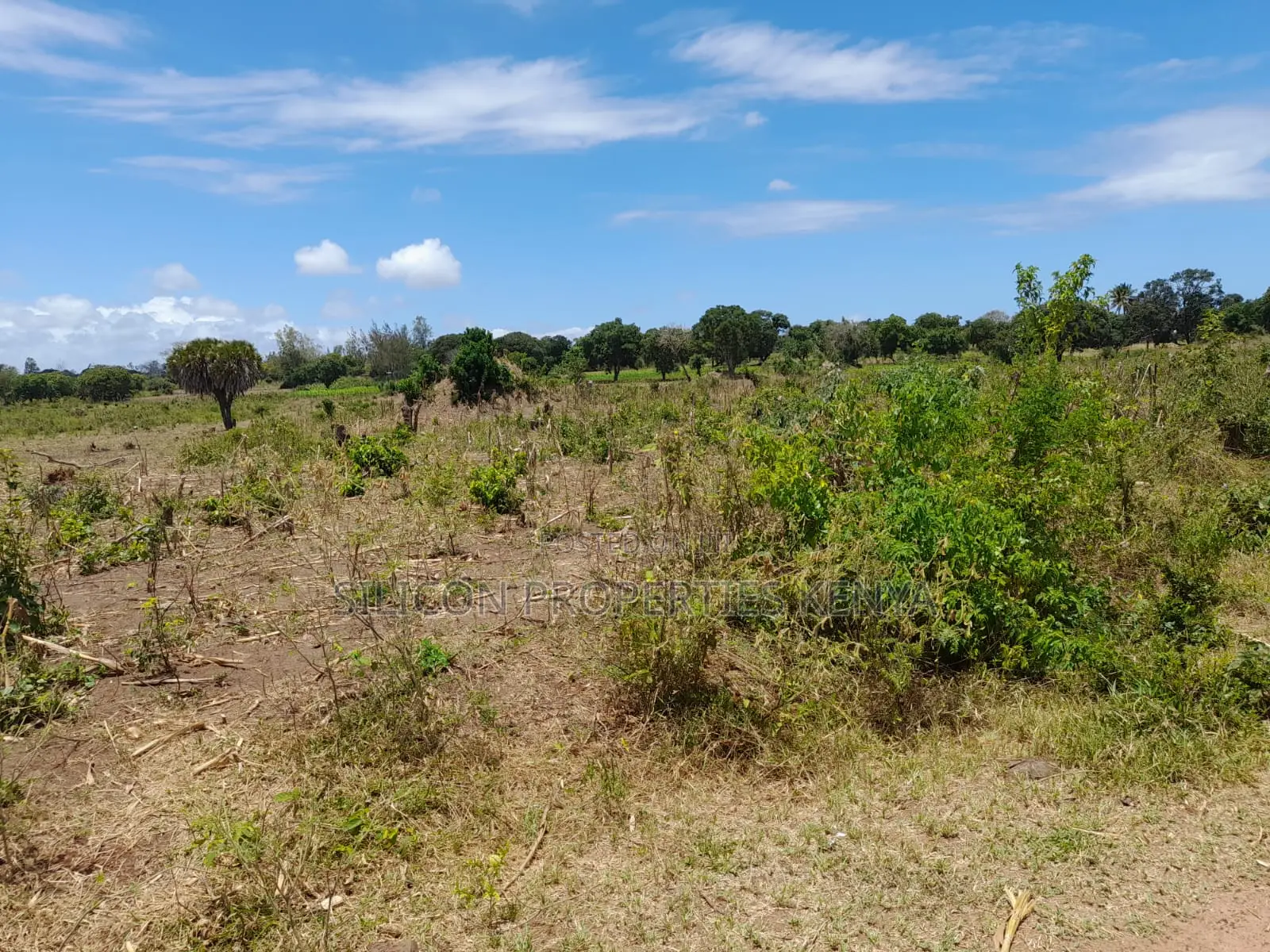 18-Acre Plot in Kidomaya, Kwale County
