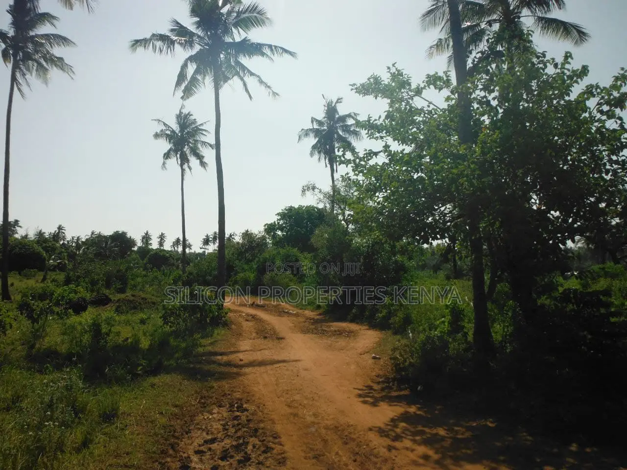 2-Acre Coastal Land in Msambweni