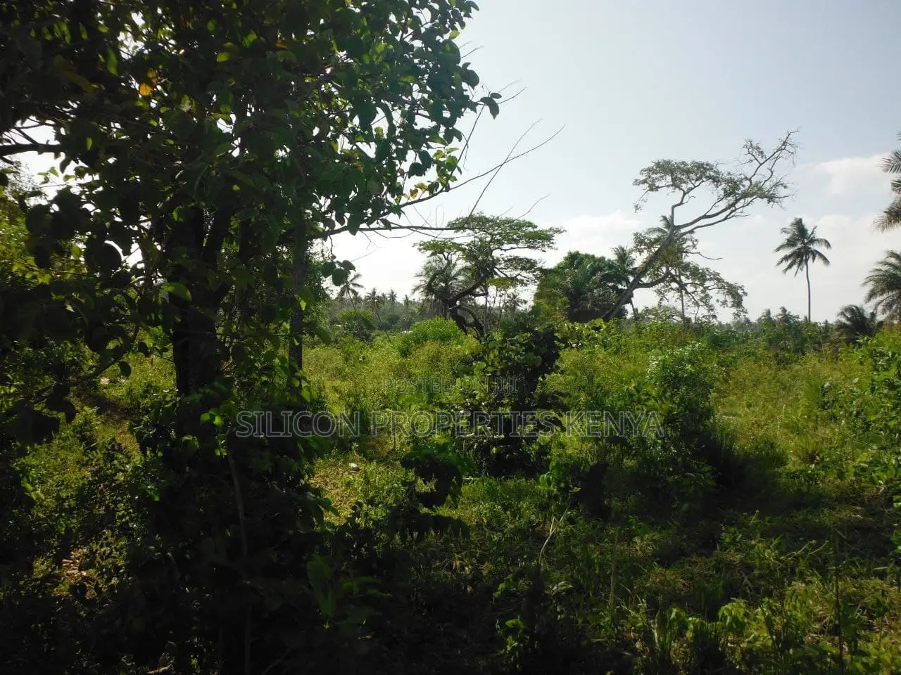 2-Acre Coastal Land in Msambweni