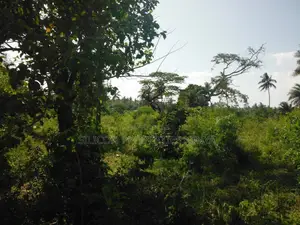 2-Acre Coastal Land in Msambweni