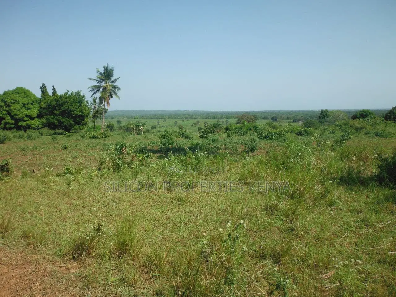 2-Acre Coastal Land in Msambweni