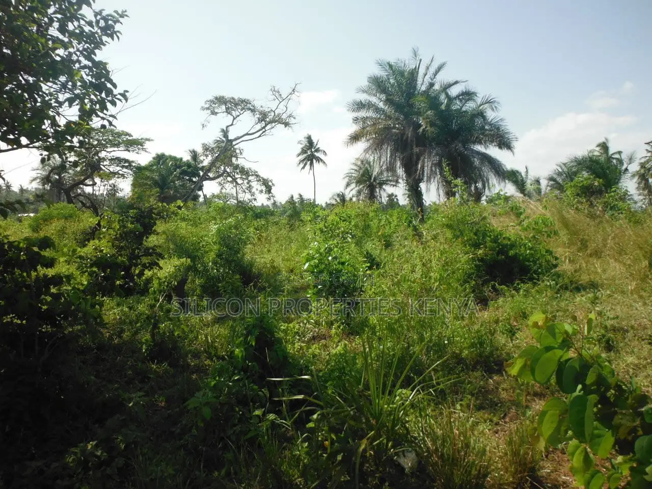 2-Acre Coastal Land in Msambweni