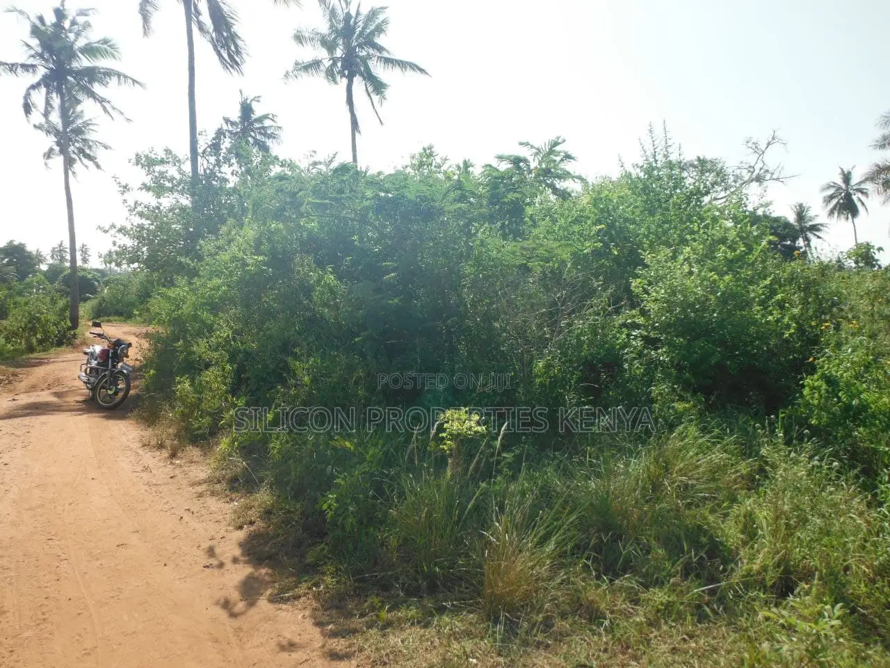 2-Acre Coastal Land in Msambweni