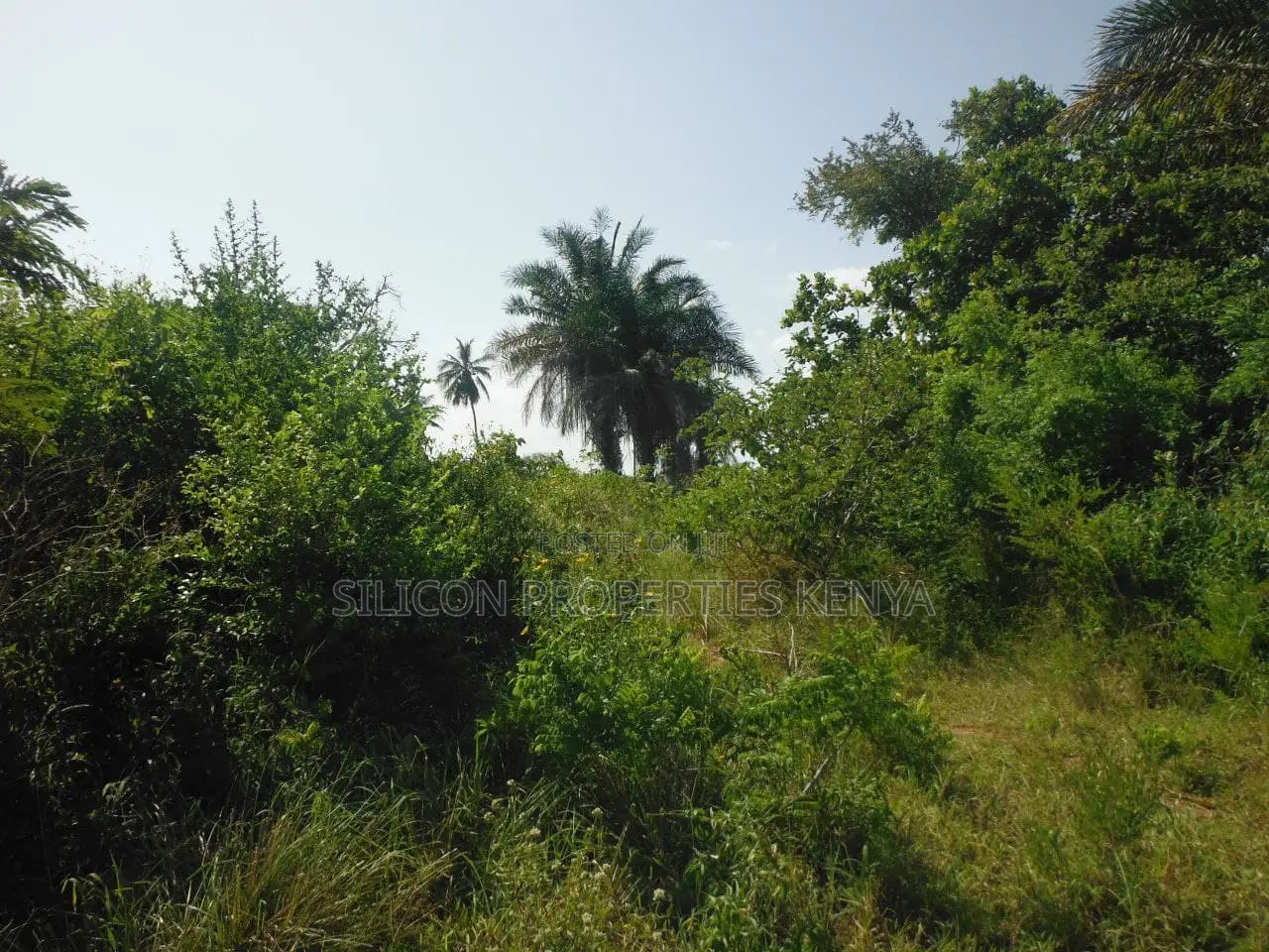 2-Acre Coastal Land in Msambweni