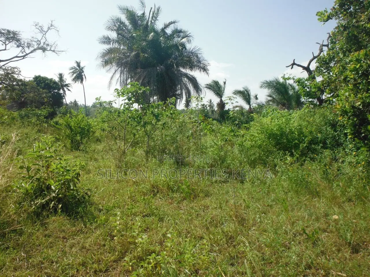 2-Acre Coastal Land in Msambweni