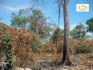 4-Acre Beachfront Land in Shimoni