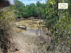 4-Acre Beachfront Land in Shimoni
