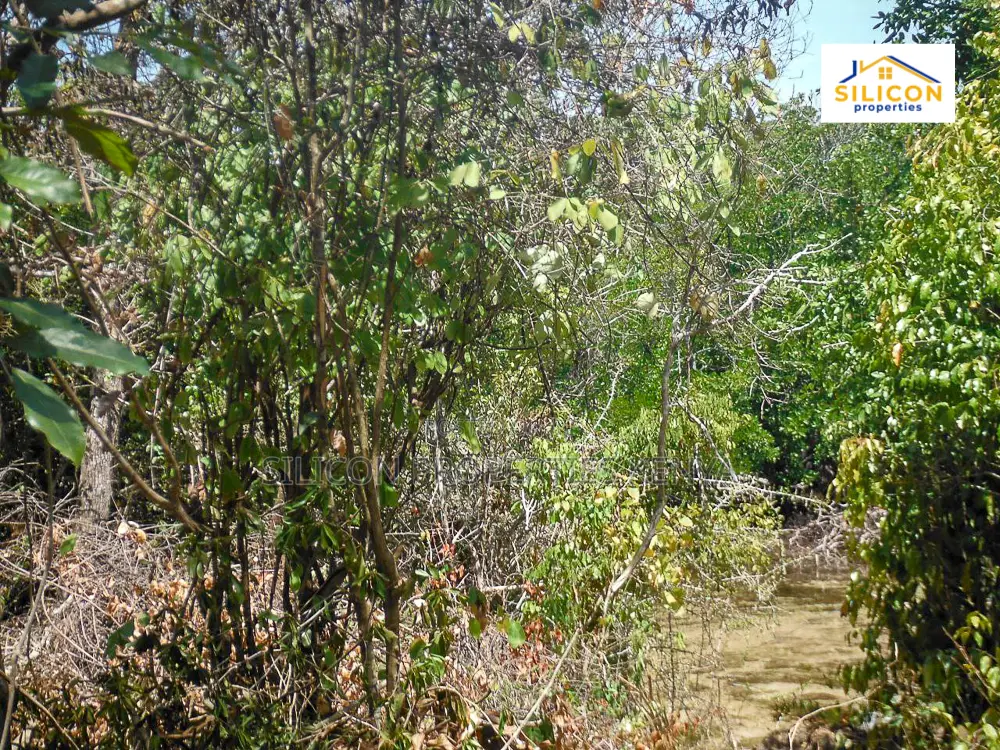 4-Acre Beachfront Land in Shimoni