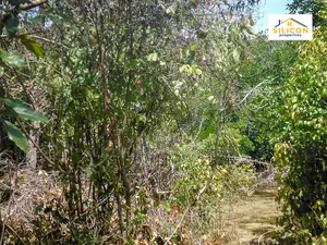 4-Acre Beachfront Land in Shimoni