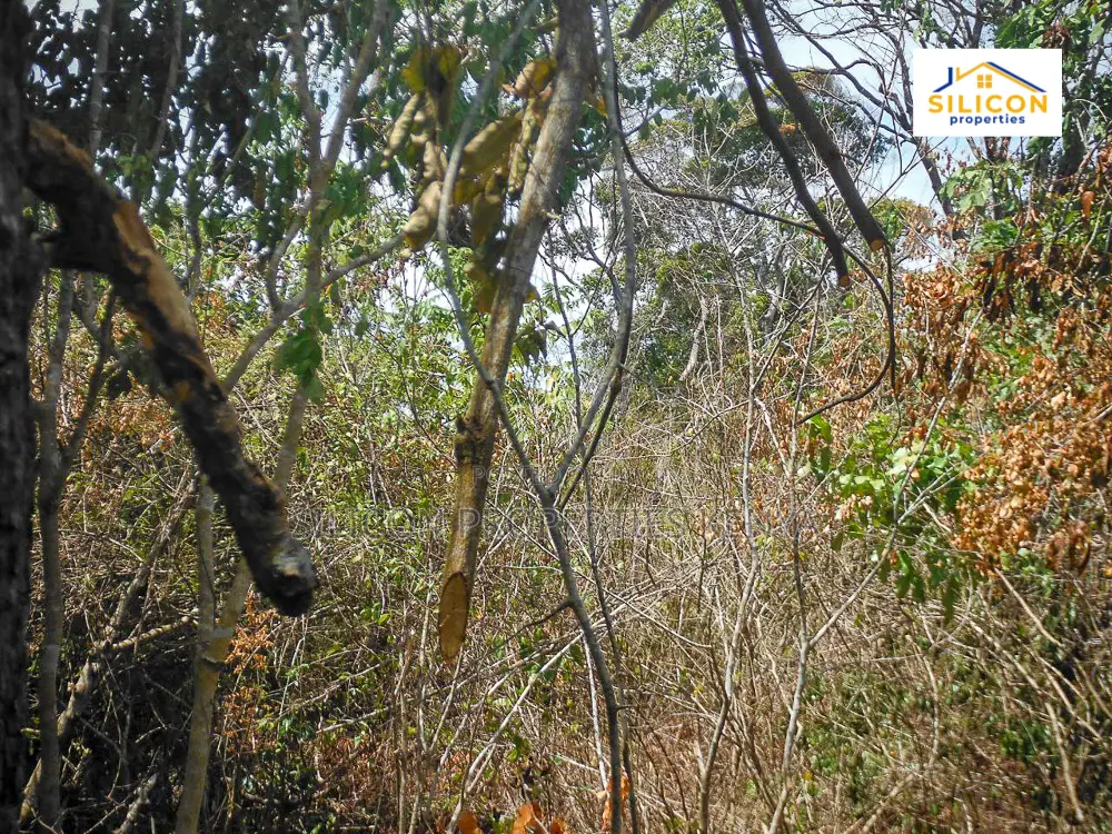 4-Acre Beachfront Land in Shimoni