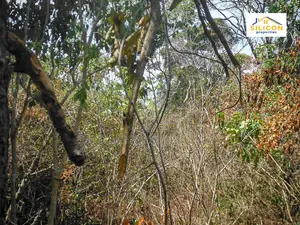 4-Acre Beachfront Land in Shimoni