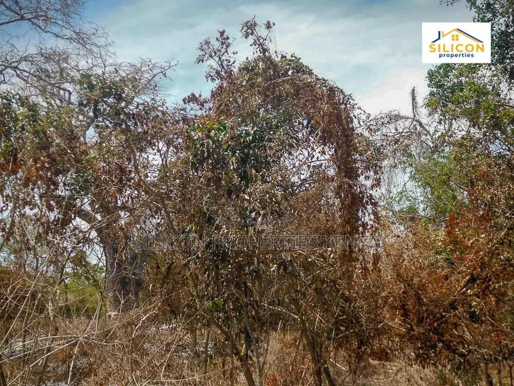 4-Acre Beachfront Land in Shimoni