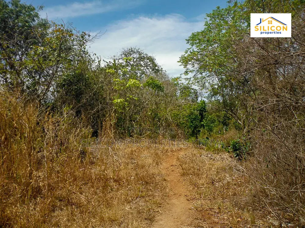 4-Acre Beachfront Land in Shimoni