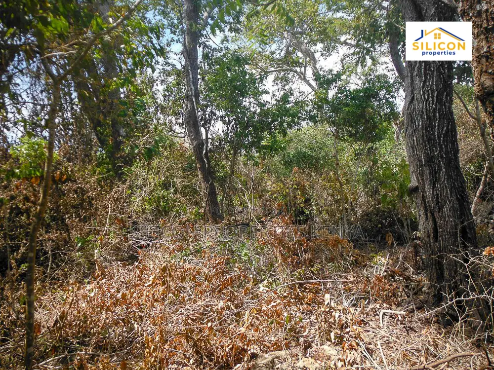 4-Acre Beachfront Land in Shimoni