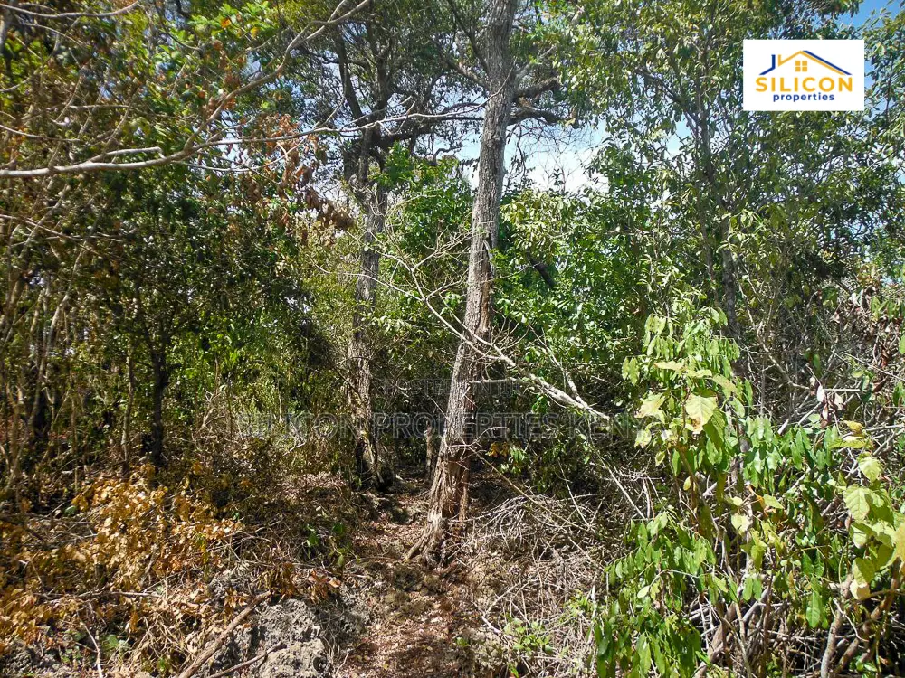 4-Acre Beachfront Land in Shimoni