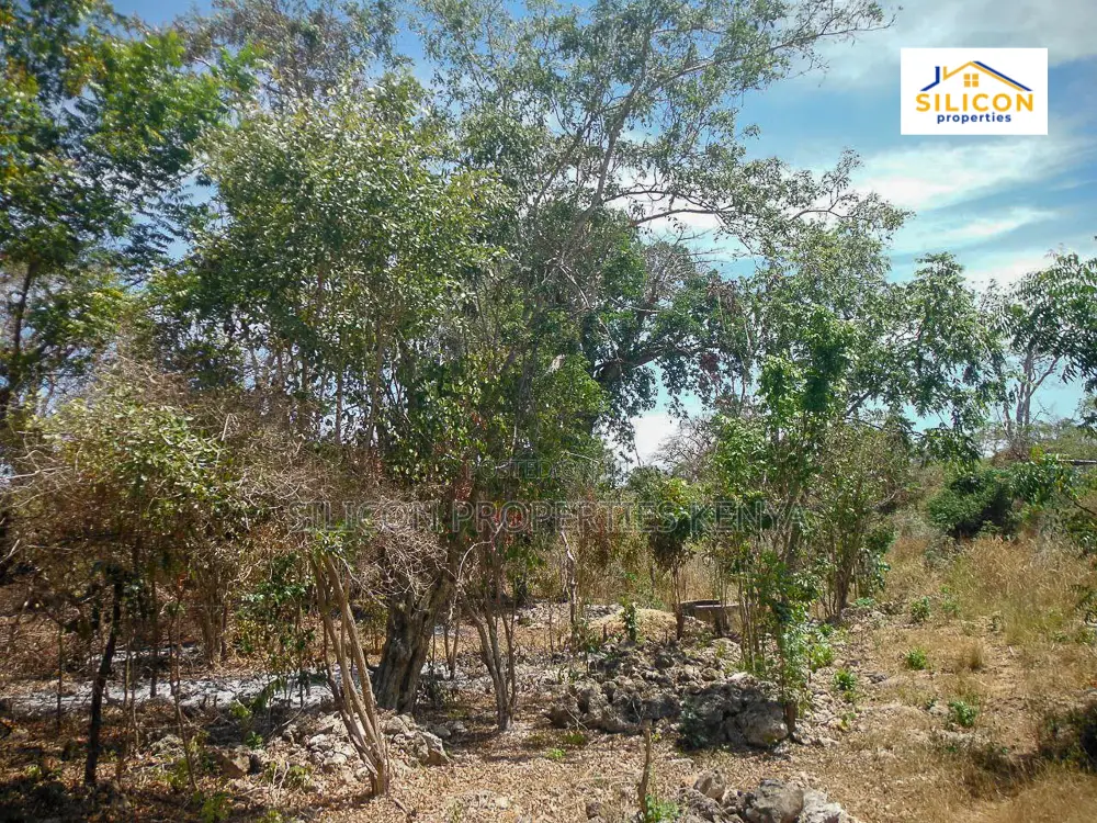 4-Acre Beachfront Land in Shimoni