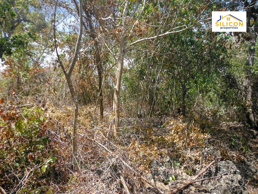 4-Acre Beachfront Land in Shimoni