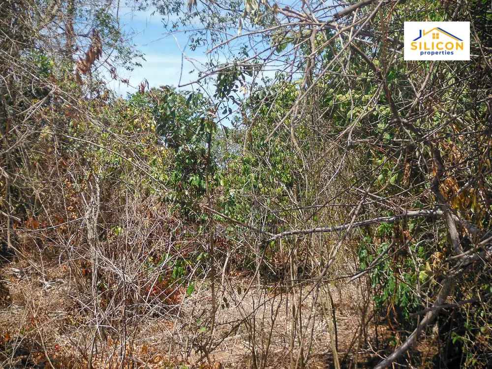 4-Acre Beachfront Land in Shimoni