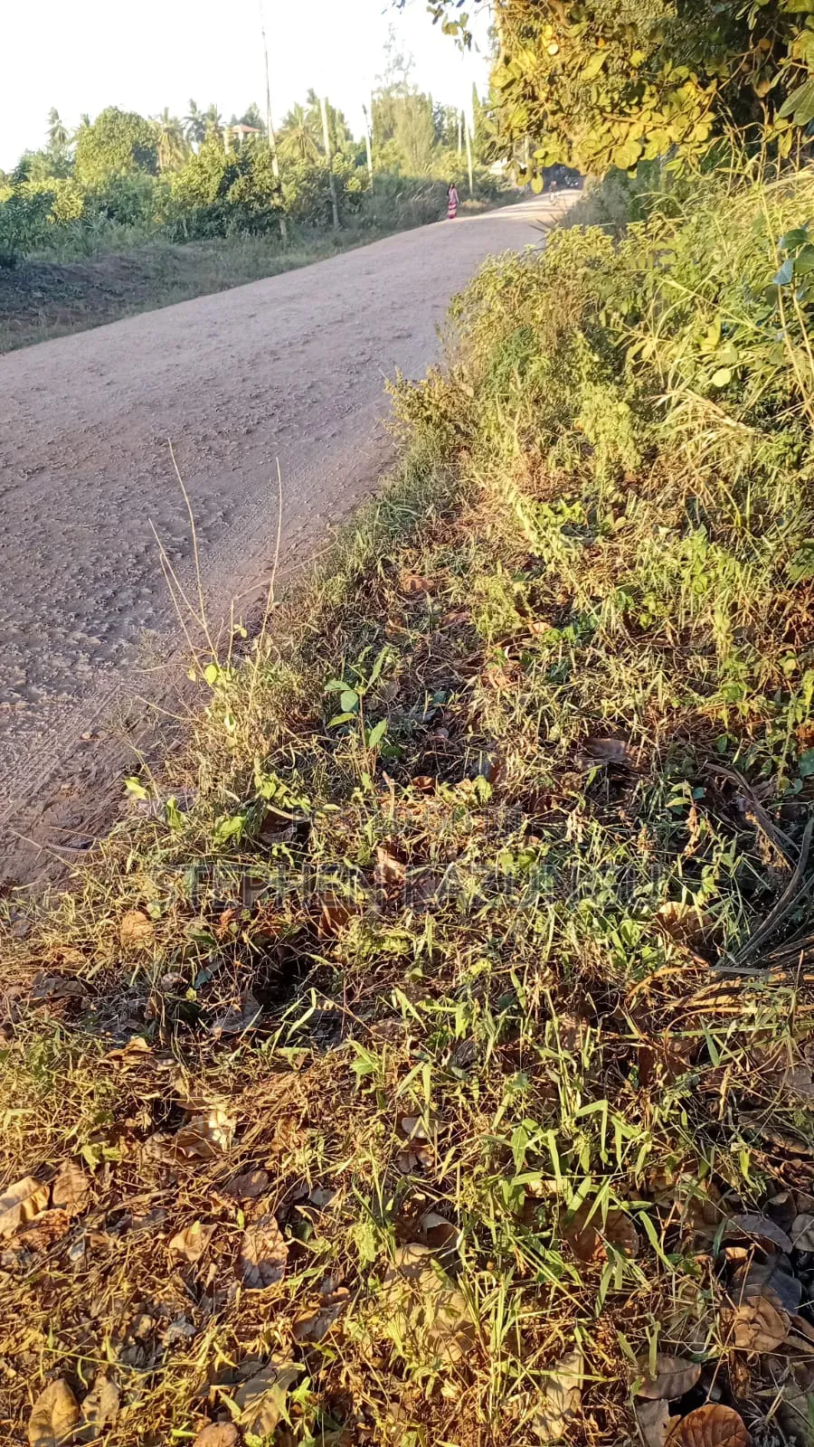 Nice 1/8 Acre Plot Only 1.3 Kilometre From the Lungalunga Highway Road
