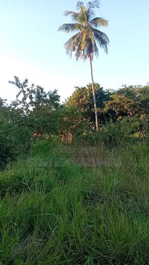 Nice 1/8 Acre Plot Only 1.3 Kilometre From the Lungalunga Highway Road
