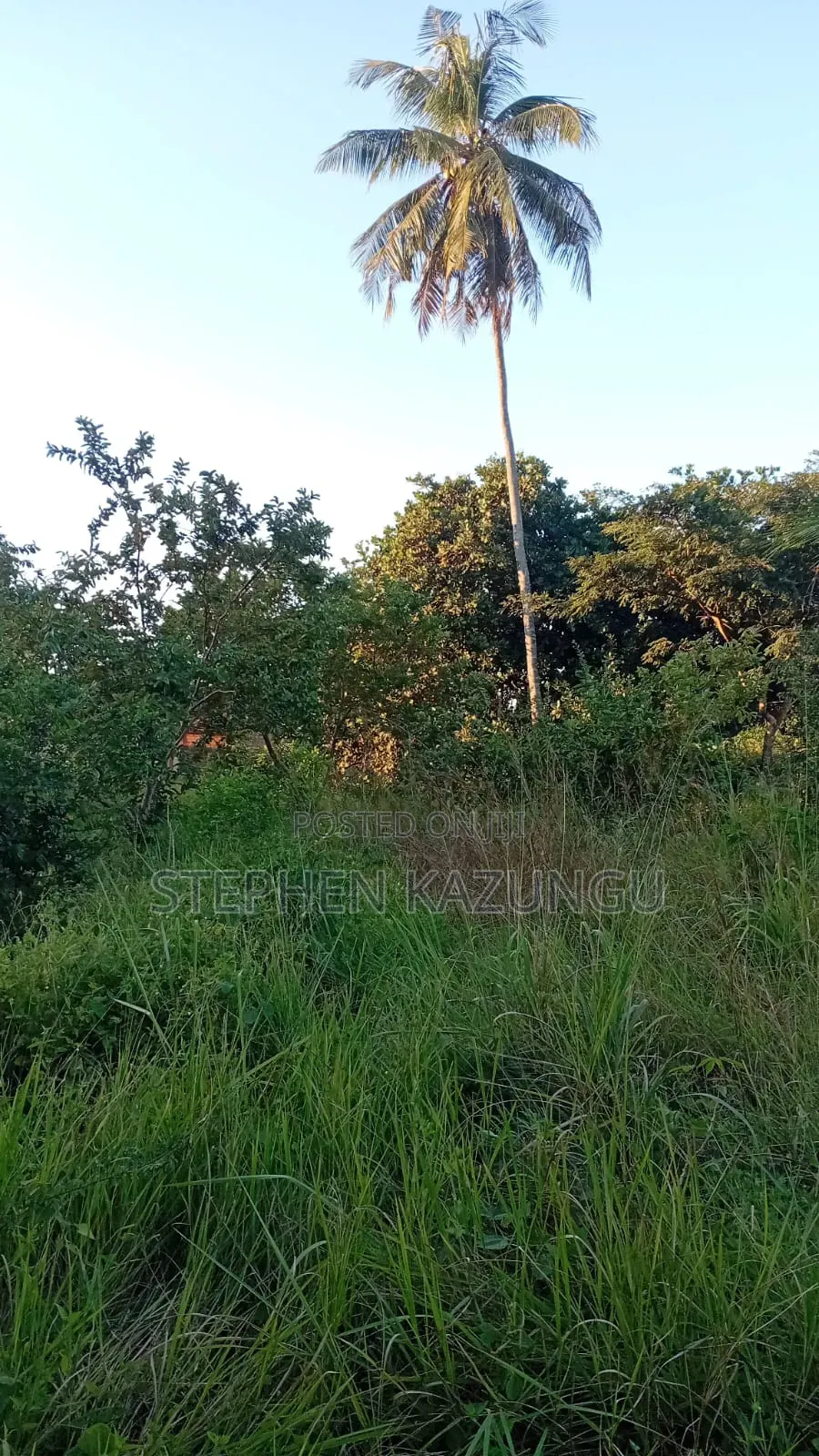 Nice 1/8 Acre Plot Only 1.3 Kilometre From the Lungalunga Highway Road