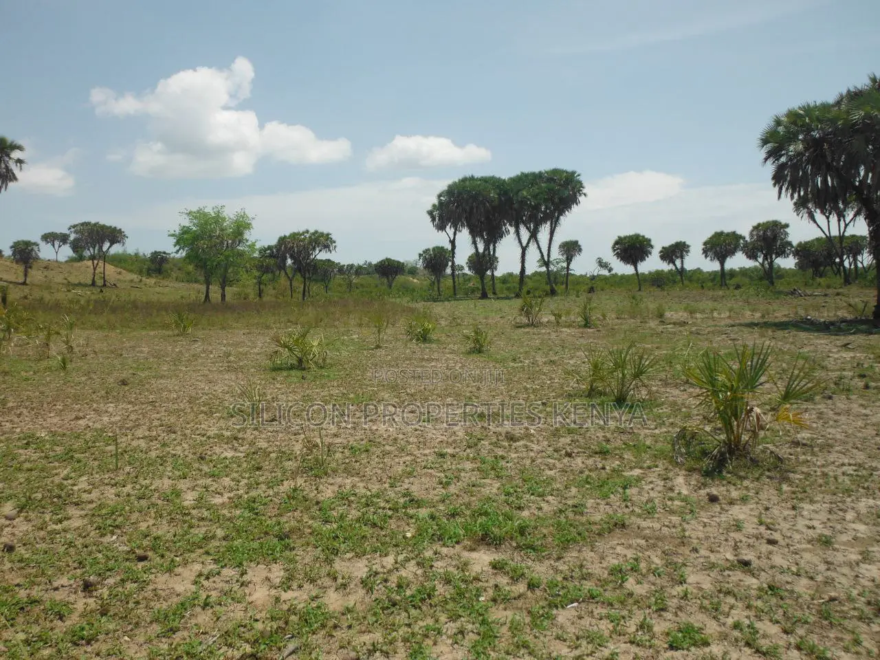 20-Acre Plot in Kidimu, Kwale County